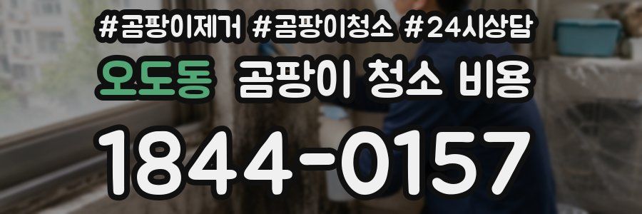 오도동 곰팡이 청소 비용