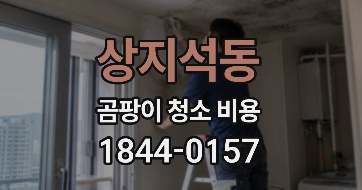 상지석동 곰팡이 청소 비용