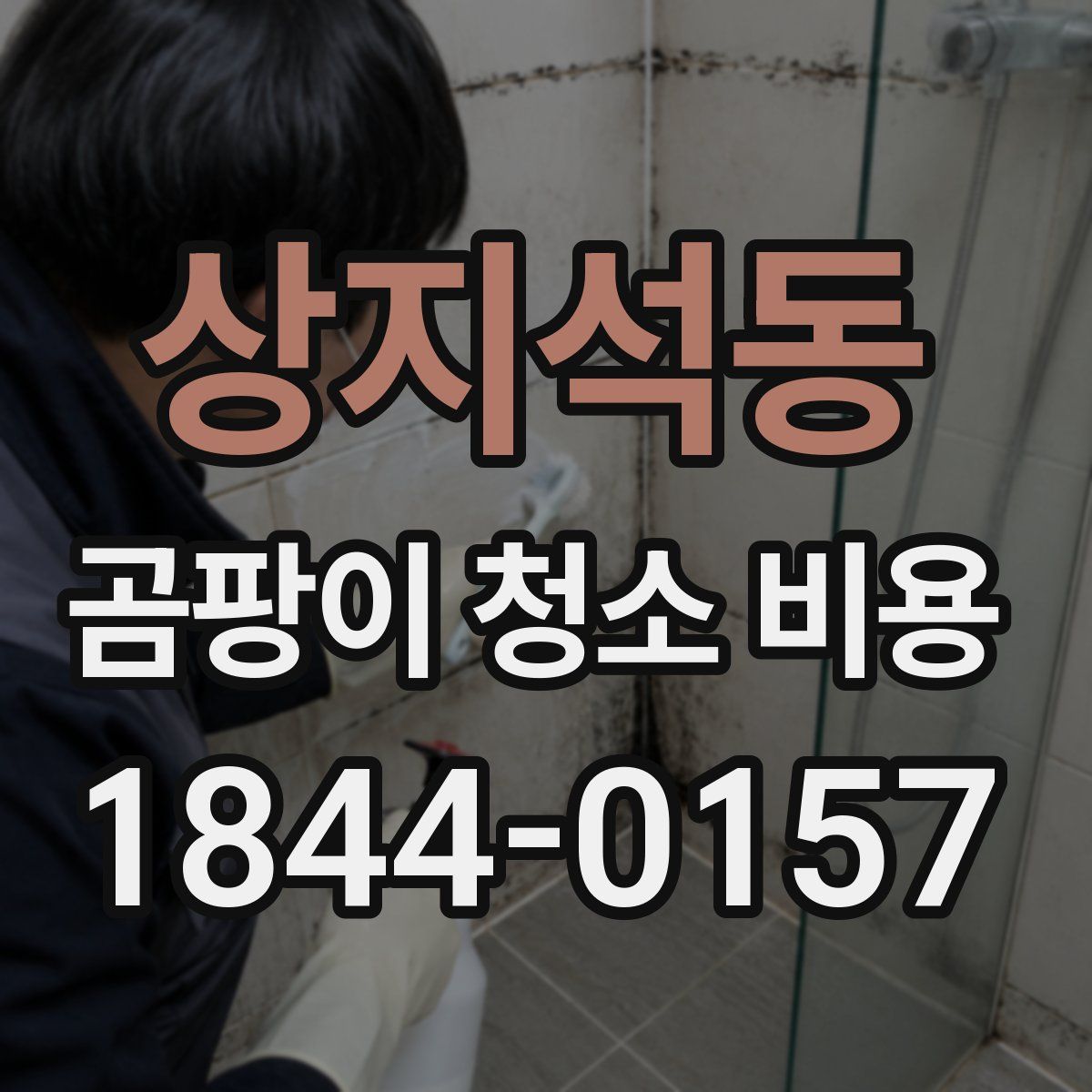 상지석동 곰팡이 청소 비용