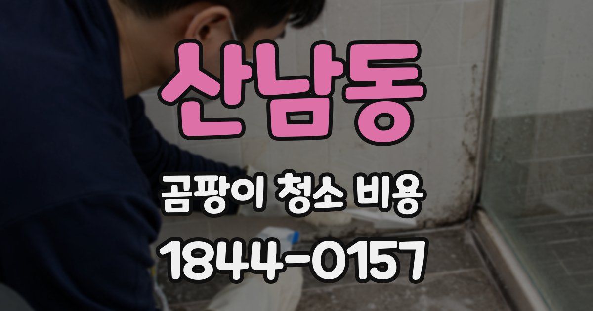 산남동 곰팡이 청소 비용