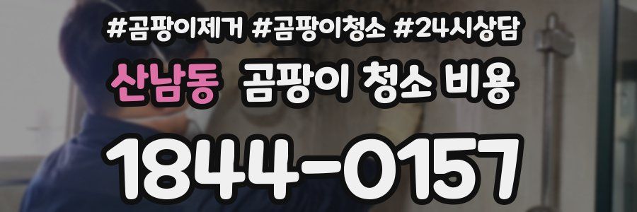 산남동 곰팡이 청소 비용