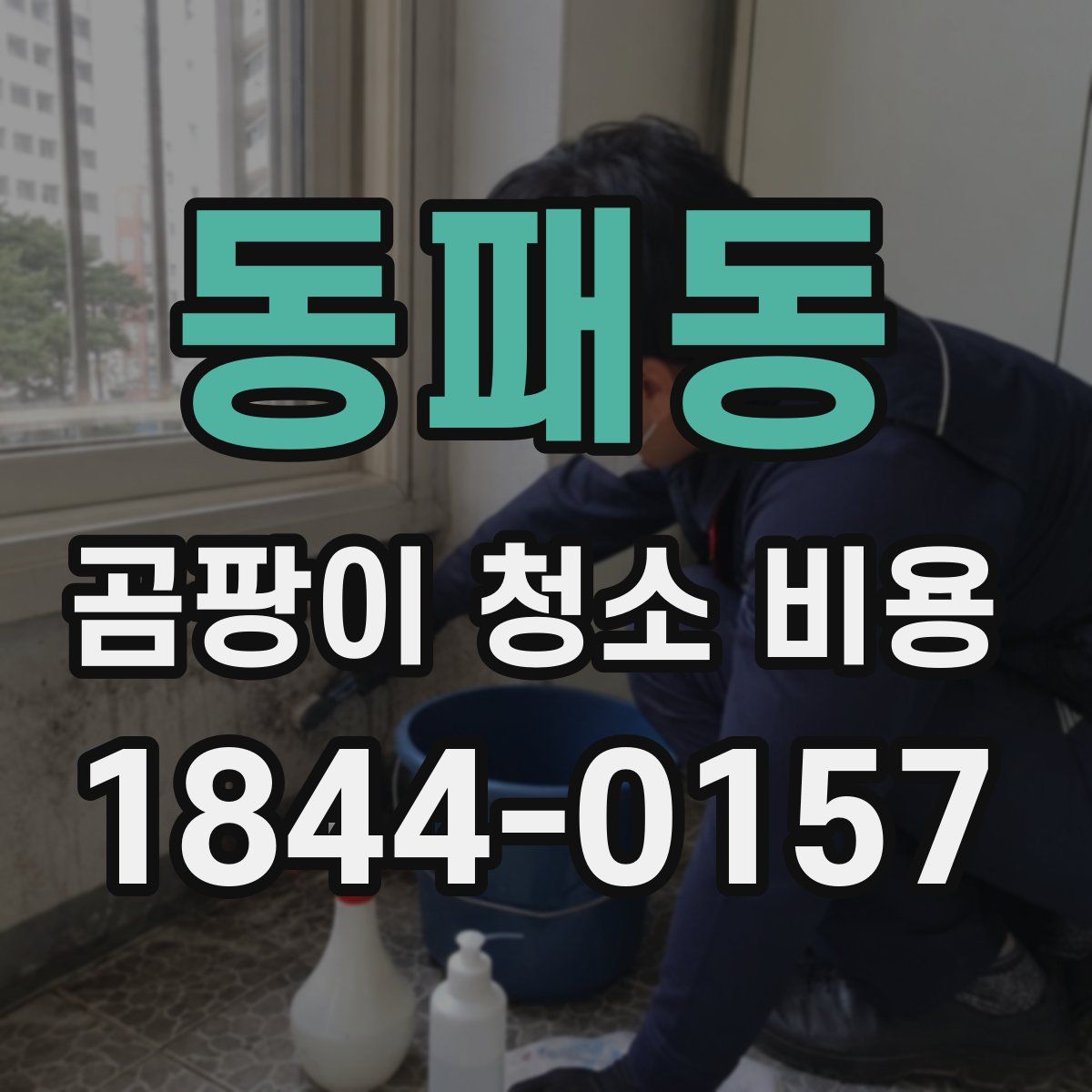 동패동 곰팡이 청소 비용