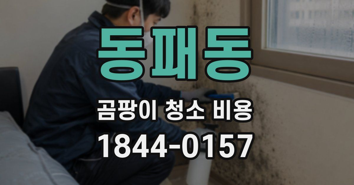 동패동 곰팡이 청소 비용