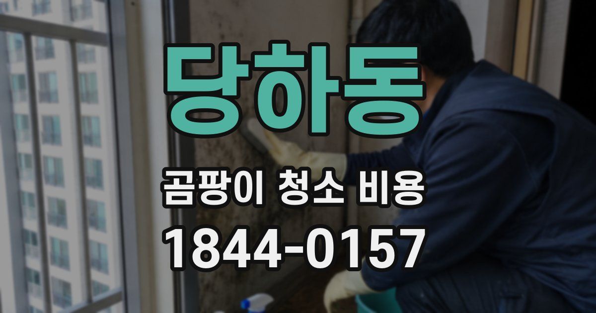 당하동 곰팡이 청소 비용