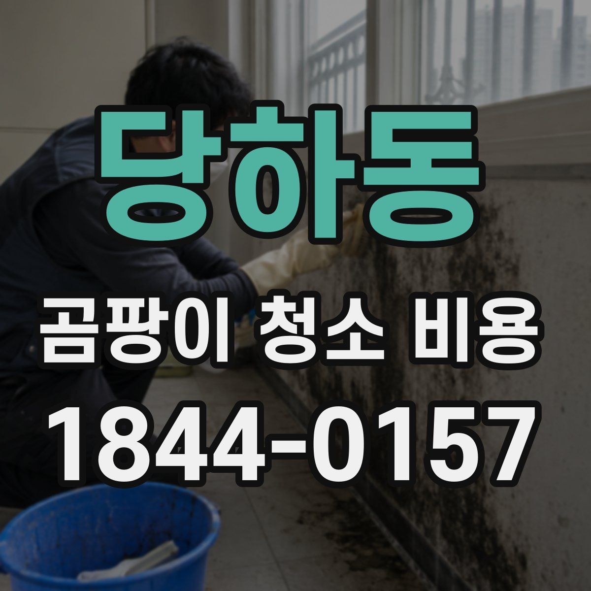 당하동 곰팡이 청소 비용