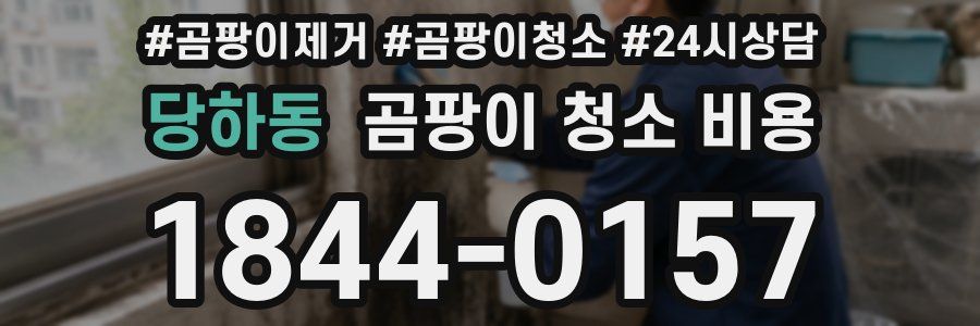 당하동 곰팡이 청소 비용