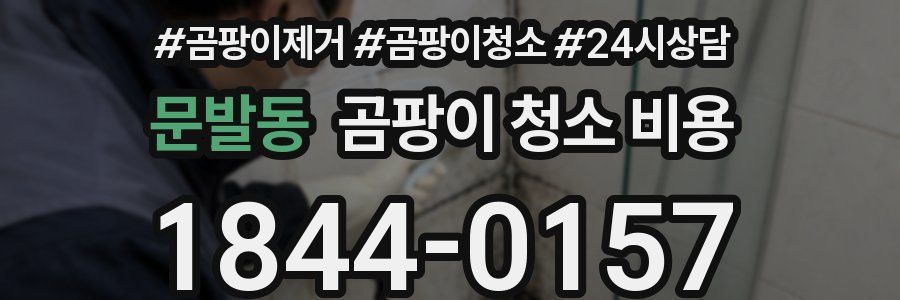 문발동 곰팡이 청소 비용
