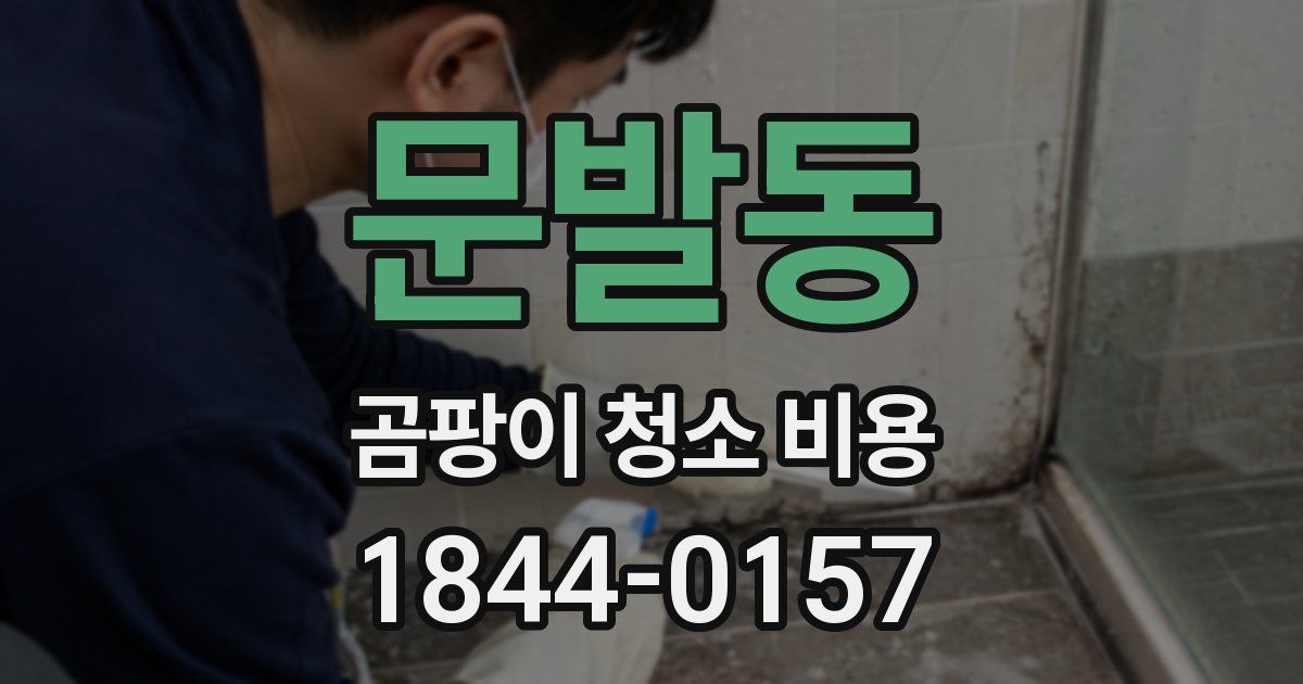 문발동 곰팡이 청소 비용