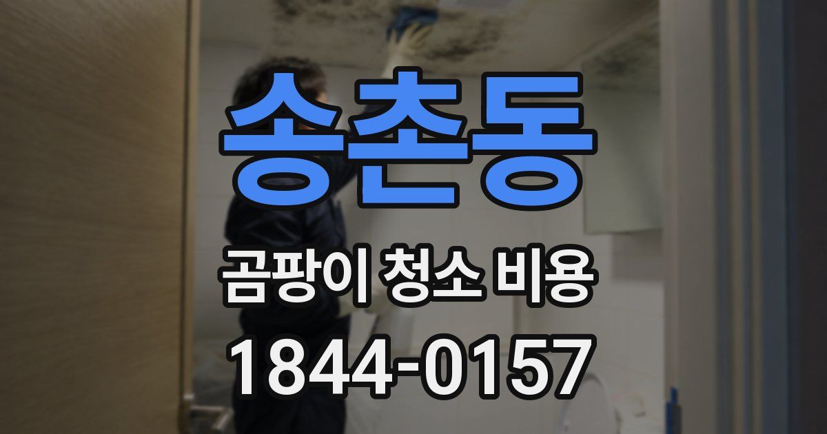 송촌동 곰팡이 청소 비용