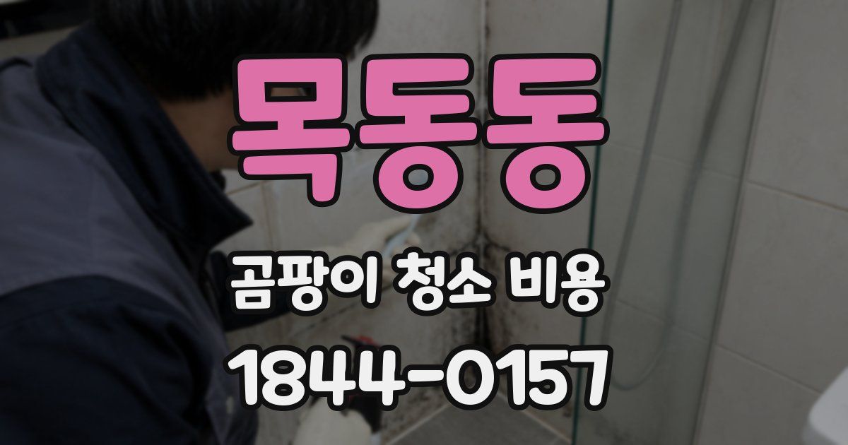 목동동 곰팡이 청소 비용