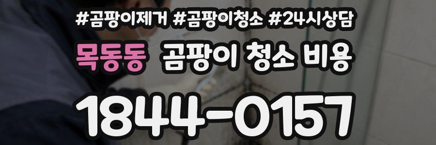 목동동 곰팡이 청소 비용