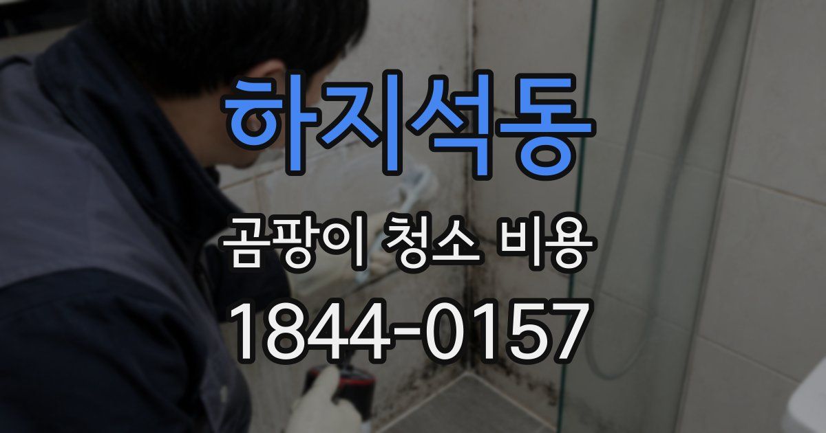 하지석동 곰팡이 청소 비용