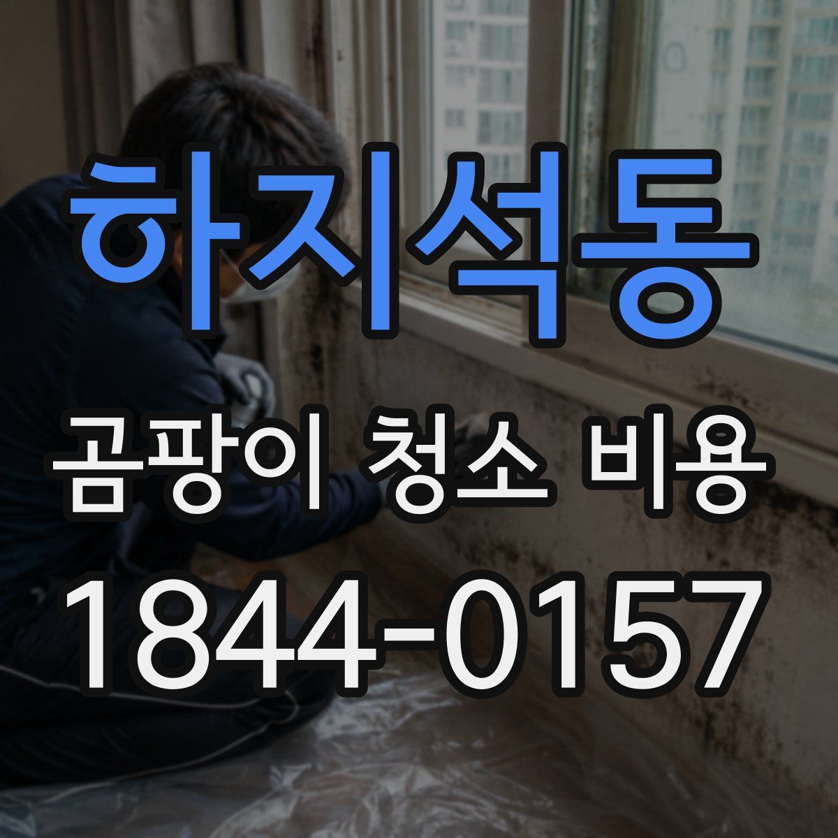 하지석동 곰팡이 청소 비용