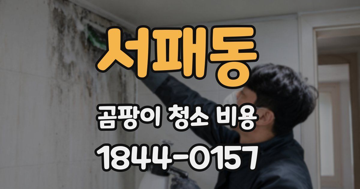 서패동 곰팡이 청소 비용