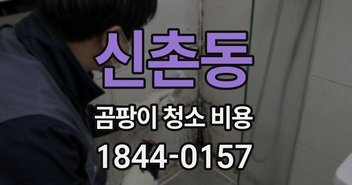 신촌동 곰팡이 청소 비용