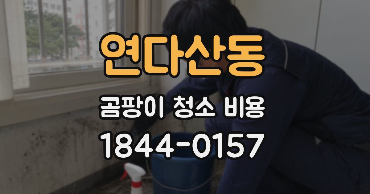 연다산동 곰팡이 청소 비용