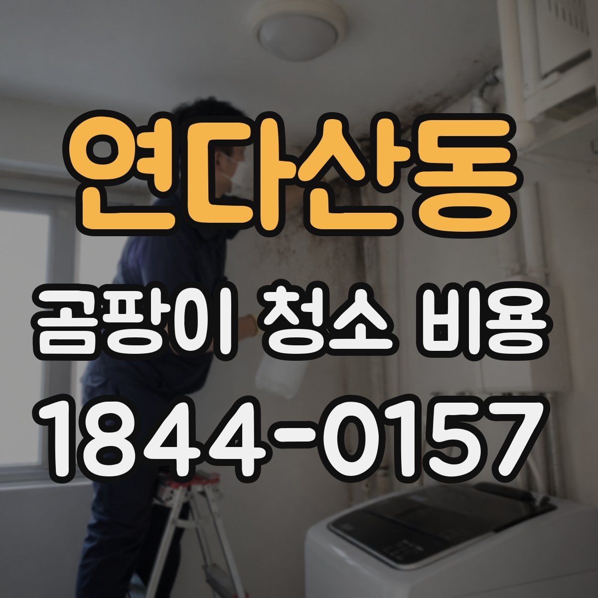 연다산동 곰팡이 청소 비용