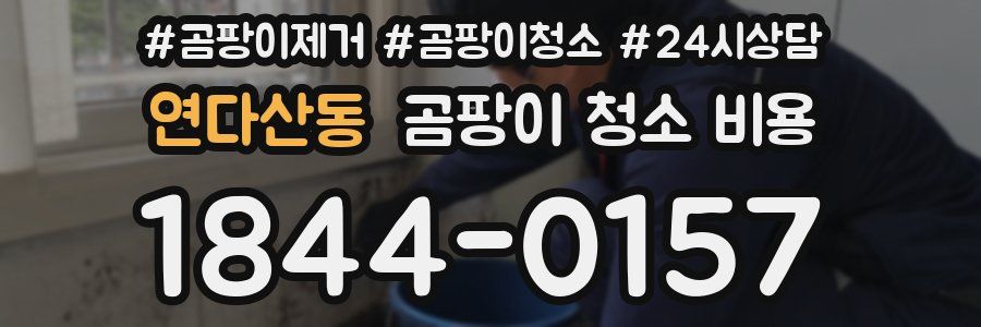 연다산동 곰팡이 청소 비용