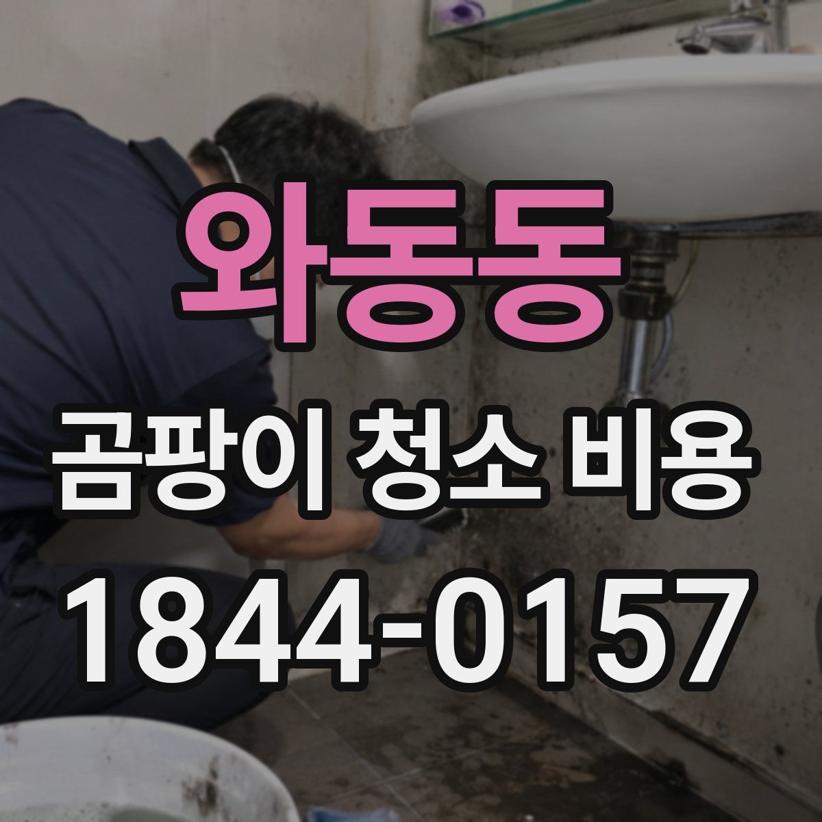 와동동 곰팡이 청소 비용