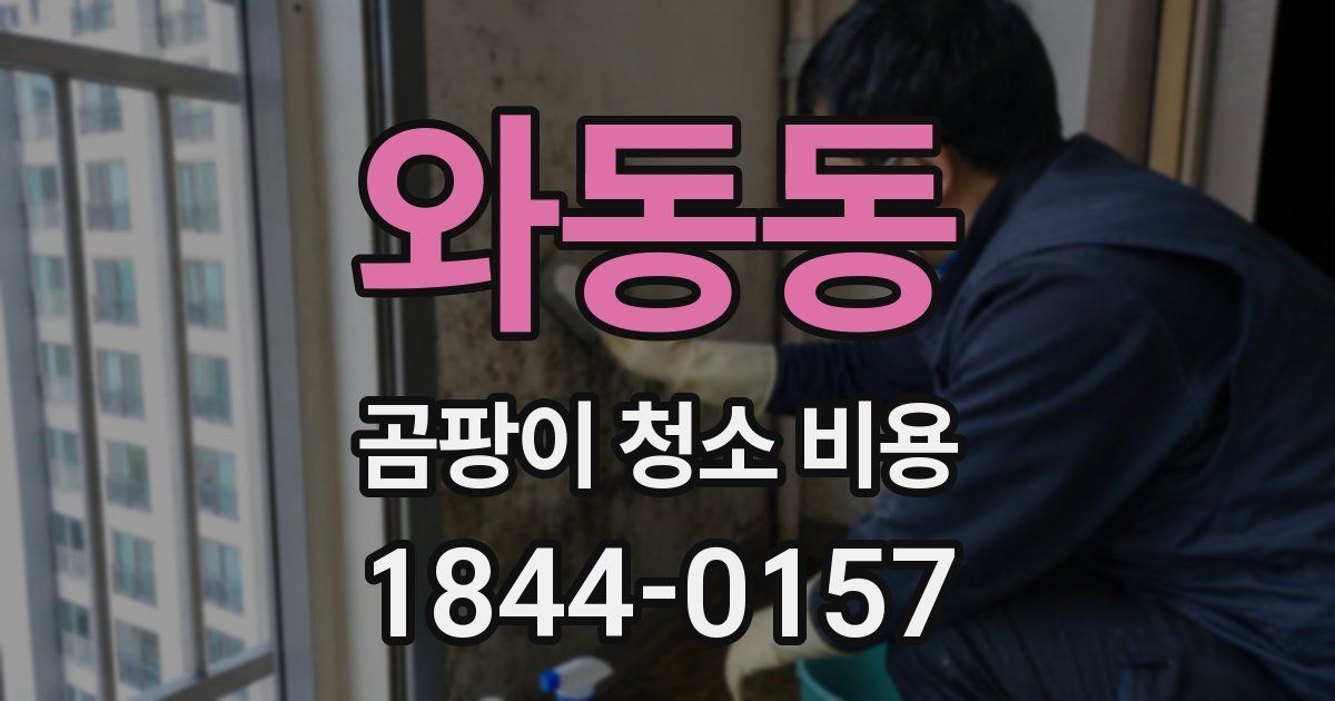 와동동 곰팡이 청소 비용