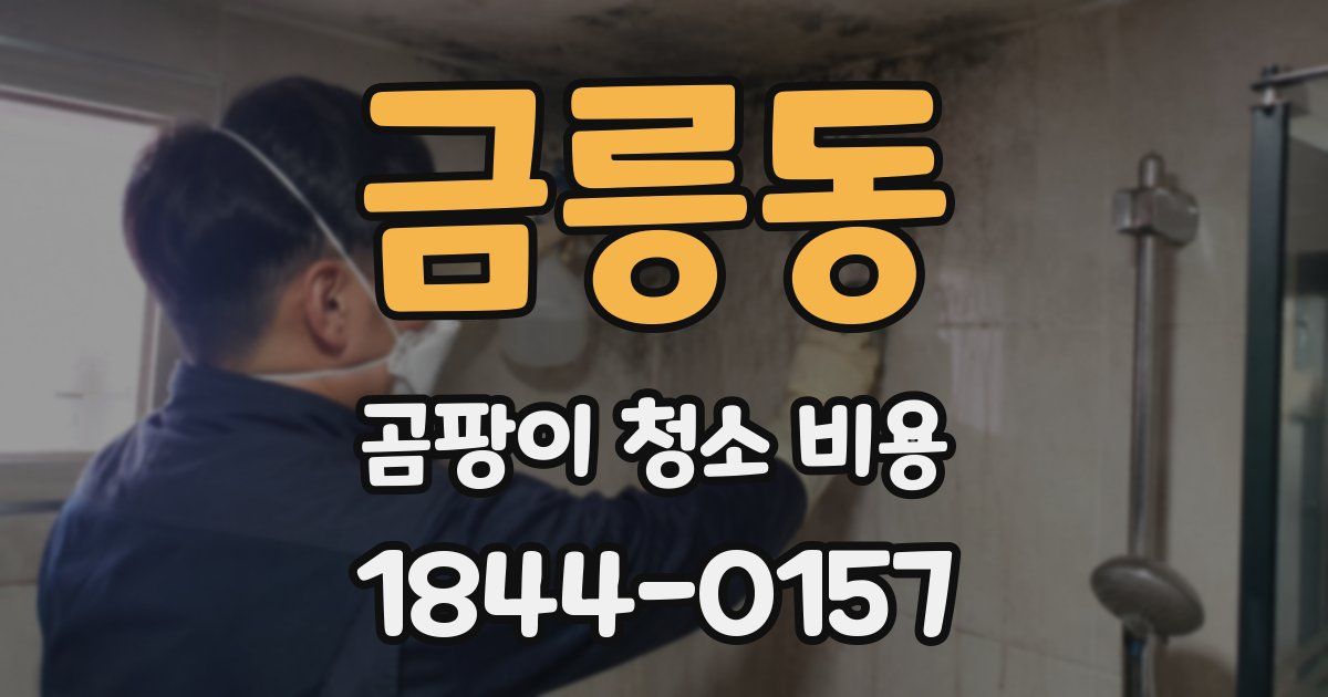 금릉동 곰팡이 청소 비용