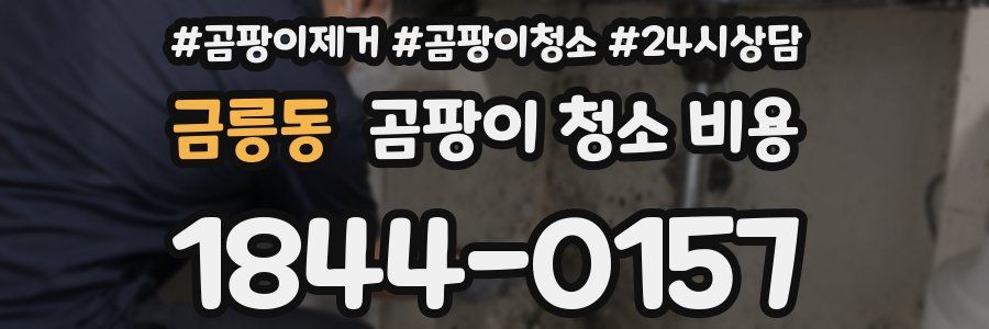 금릉동 곰팡이 청소 비용