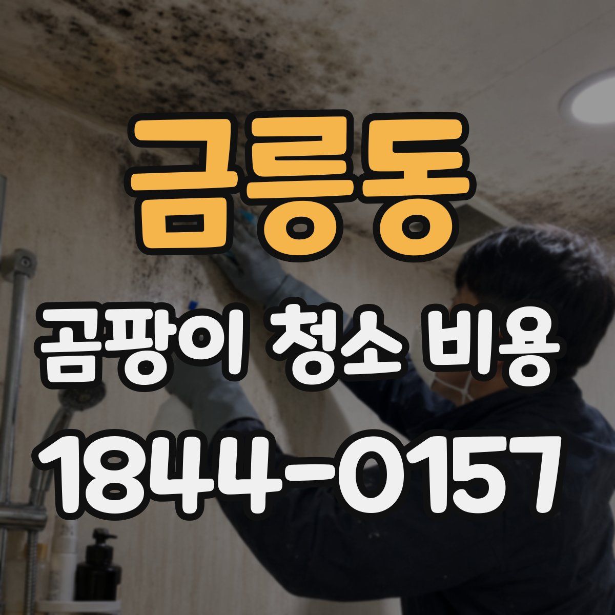 금릉동 곰팡이 청소 비용