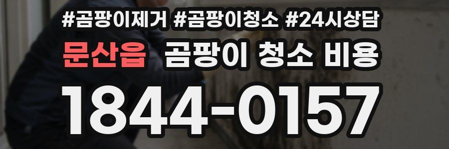 문산읍 곰팡이 청소 비용