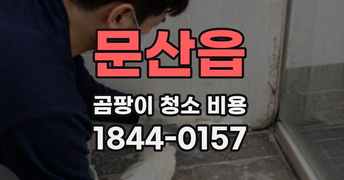 문산읍 곰팡이 청소 비용