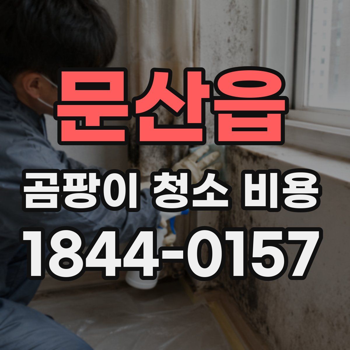 문산읍 곰팡이 청소 비용