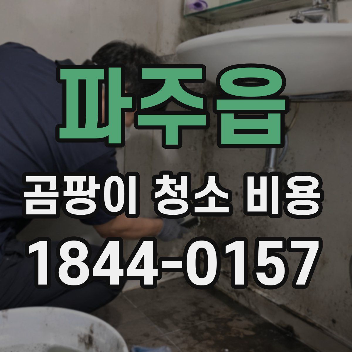 파주읍 곰팡이 청소 비용