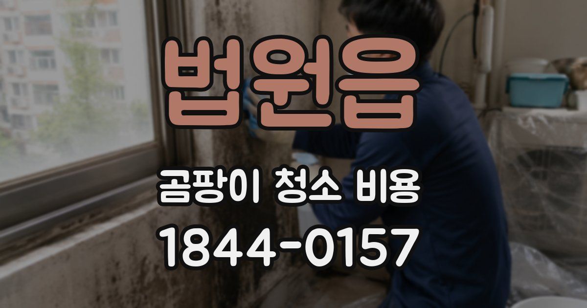 법원읍 곰팡이 청소 비용