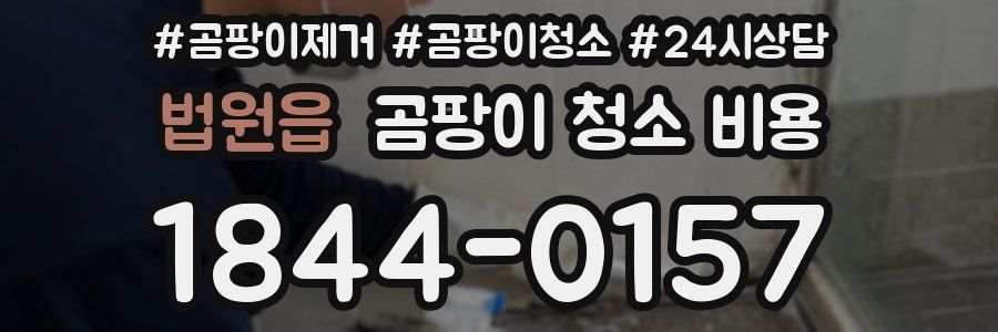 법원읍 곰팡이 청소 비용
