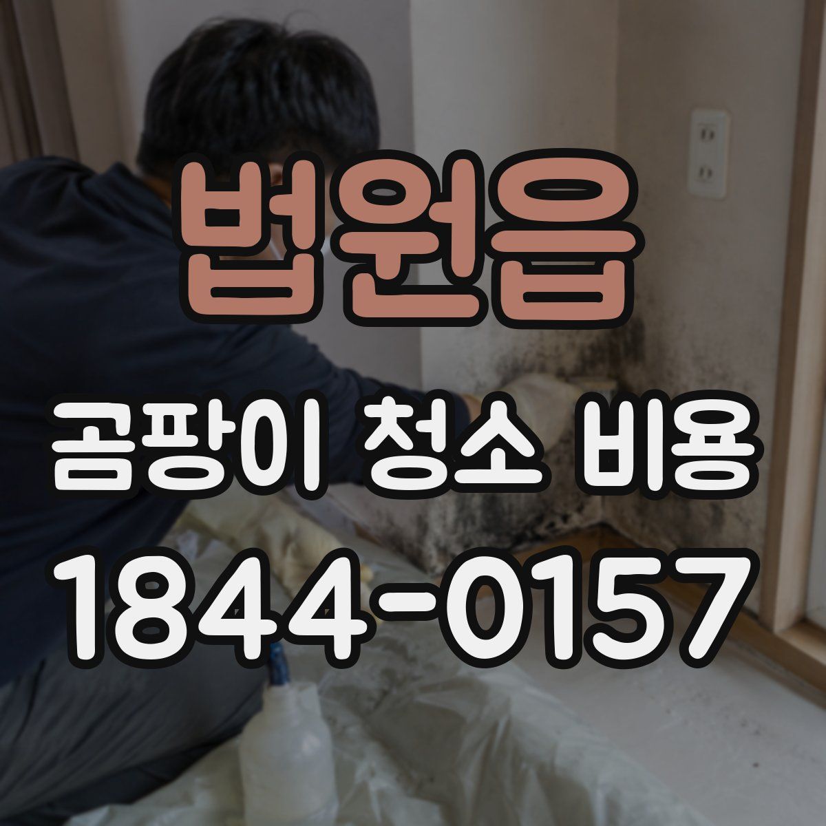 법원읍 곰팡이 청소 비용