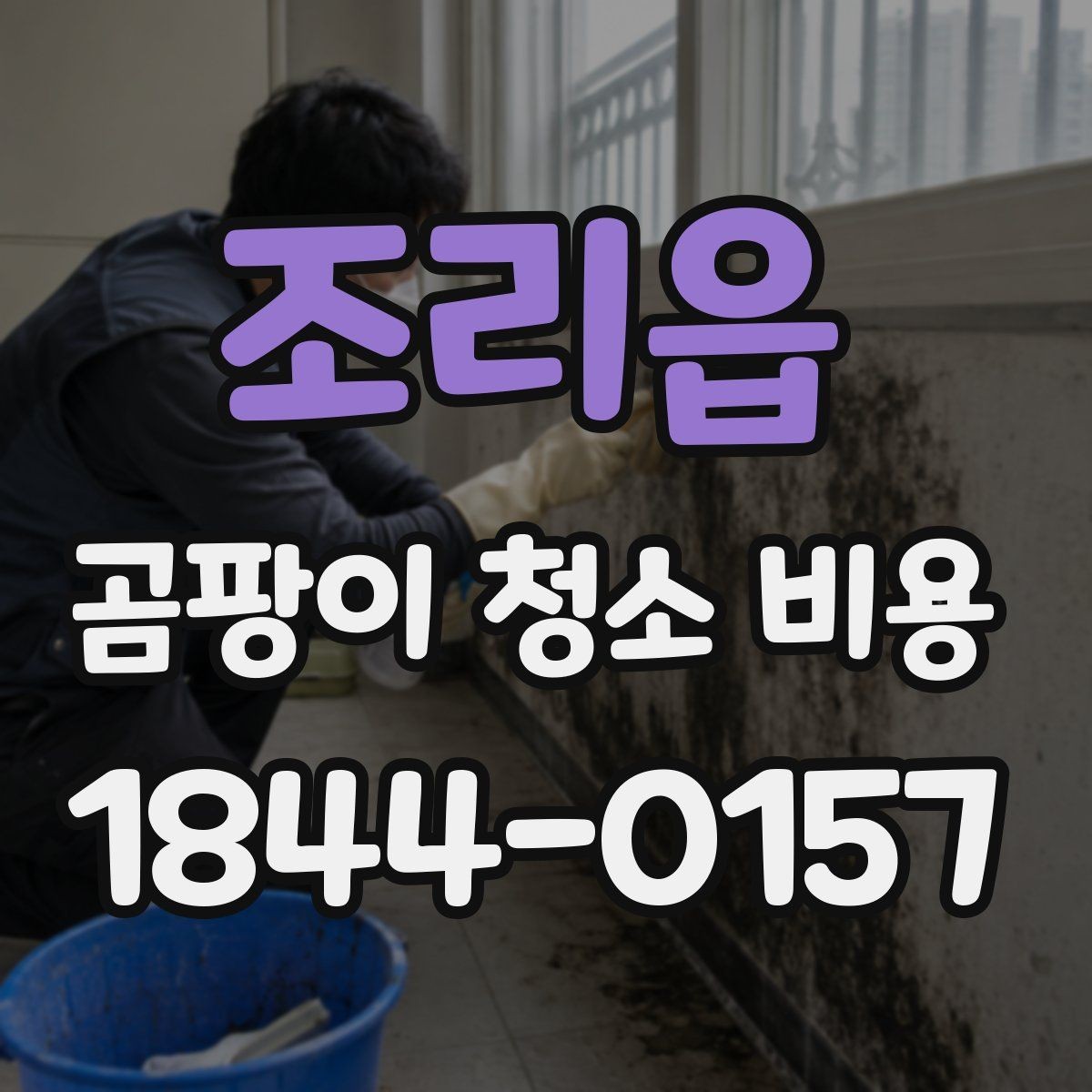 조리읍 곰팡이 청소 비용 욕실 실리콘 오염 특성에 따른 대응