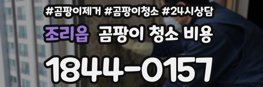 조리읍 곰팡이 청소 비용