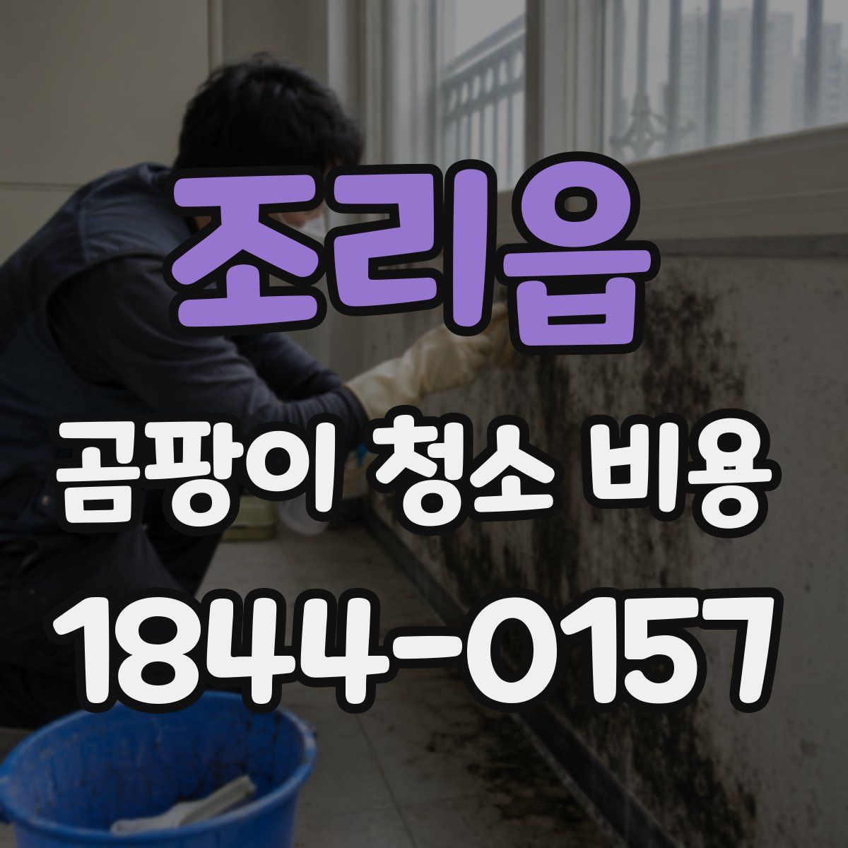 조리읍 곰팡이 청소 비용
