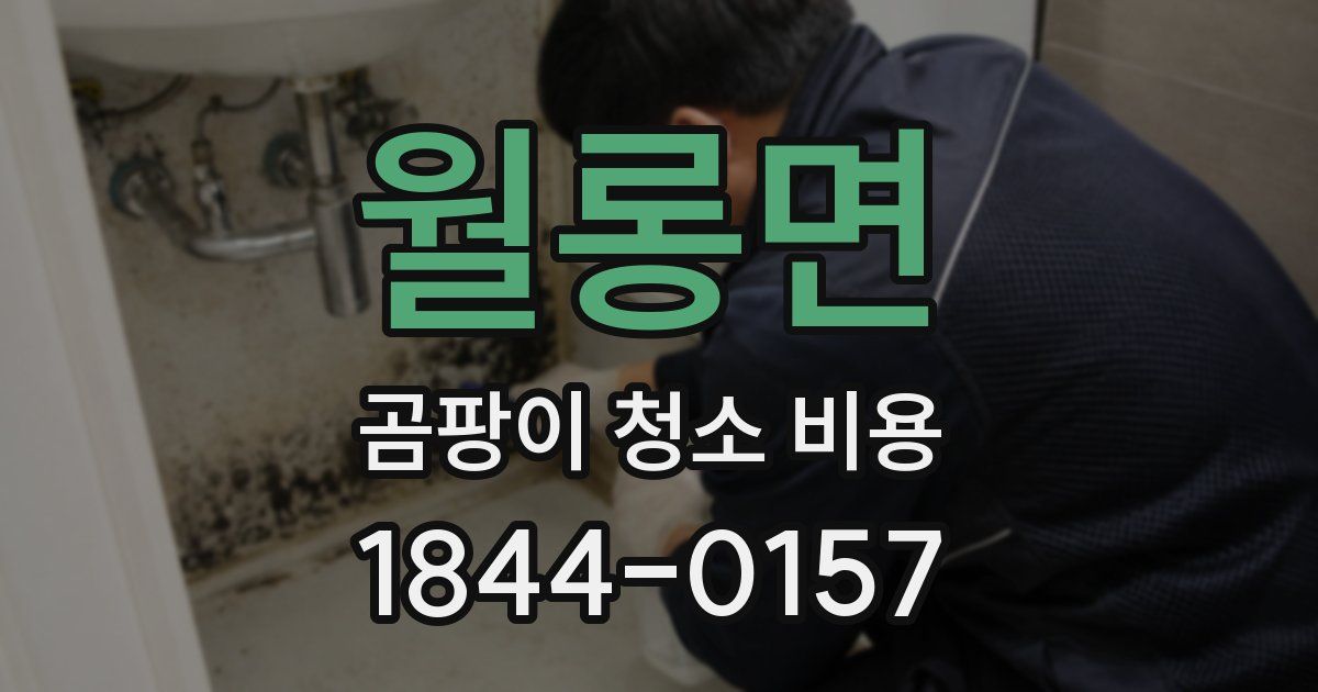 월롱면 곰팡이 청소 비용