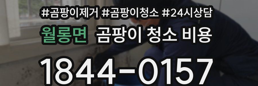 월롱면 곰팡이 청소 비용