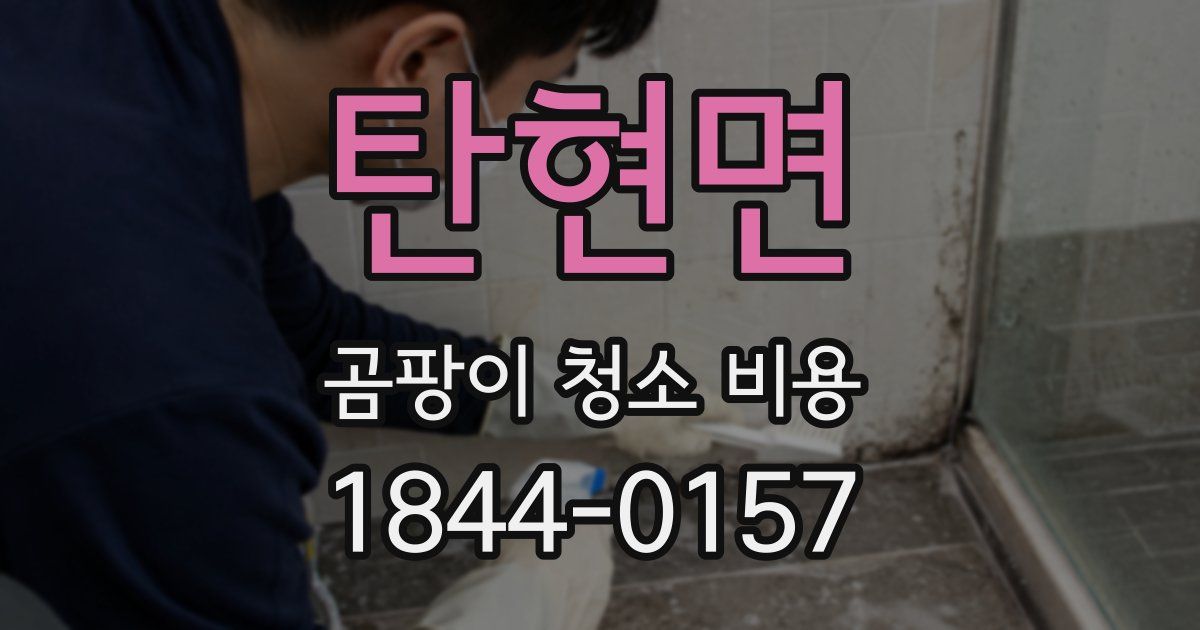 탄현면 곰팡이 청소 비용