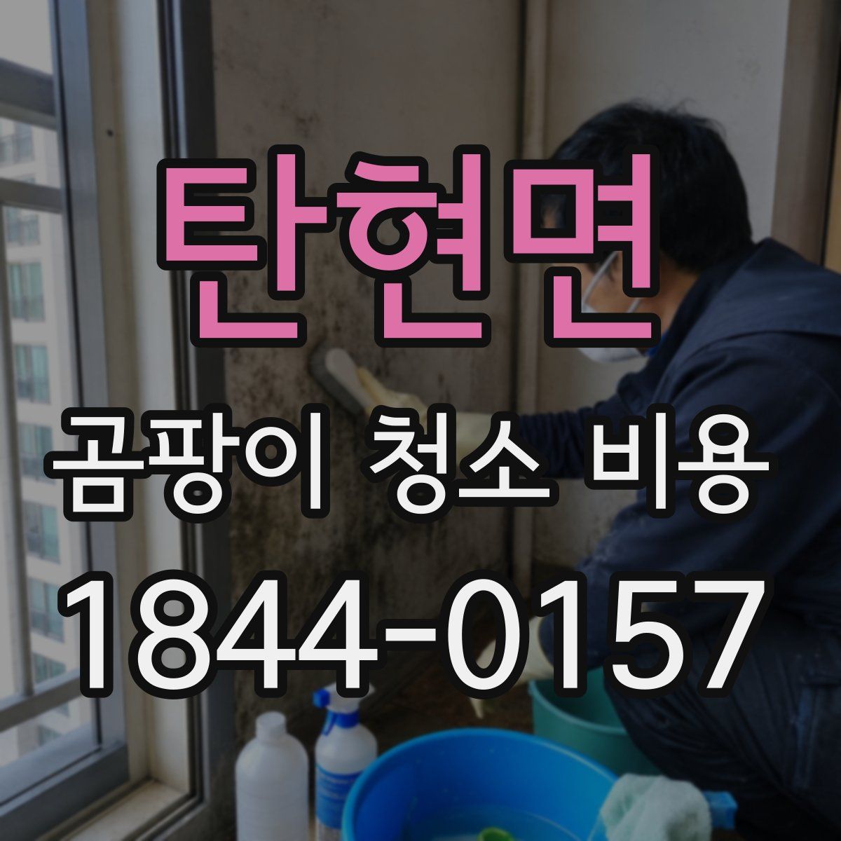 탄현면 곰팡이 청소 비용