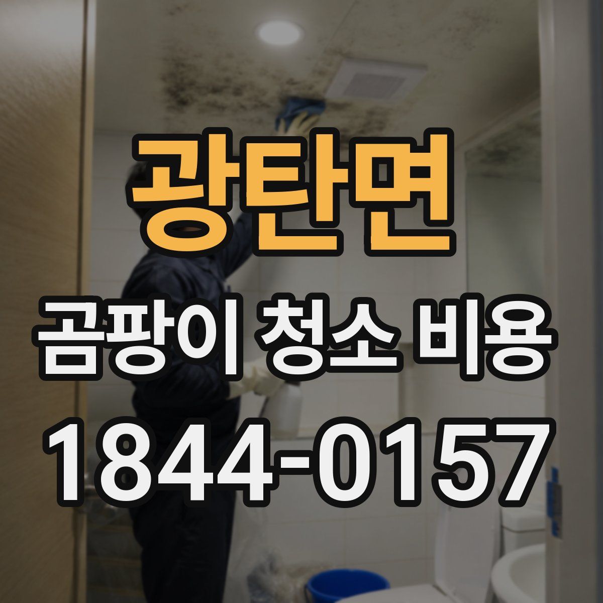 광탄면 곰팡이 청소 비용