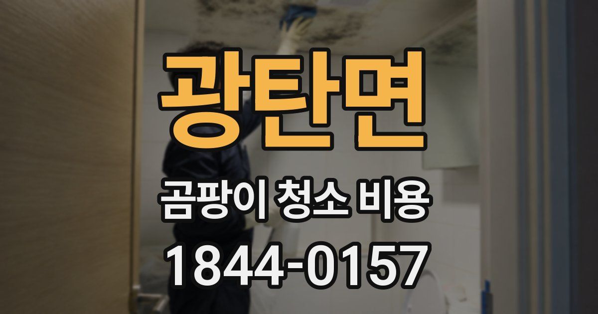 광탄면 곰팡이 청소 비용