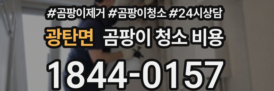 광탄면 곰팡이 청소 비용
