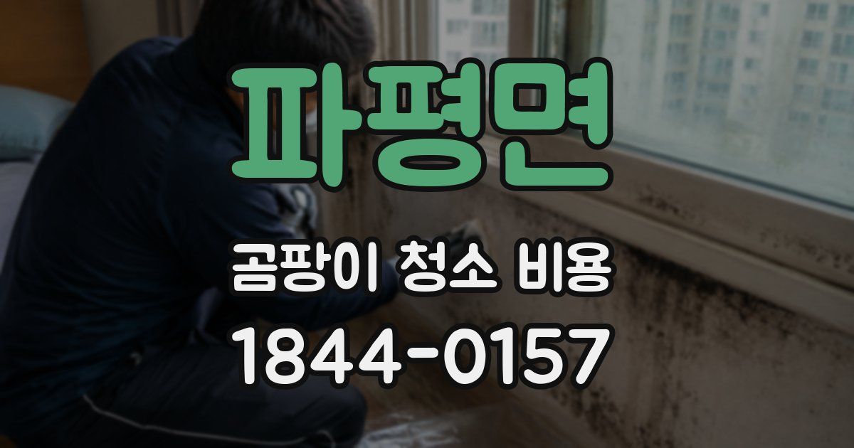 파평면 곰팡이 청소 비용
