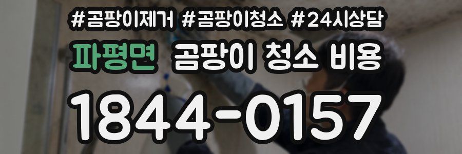 파평면 곰팡이 청소 비용