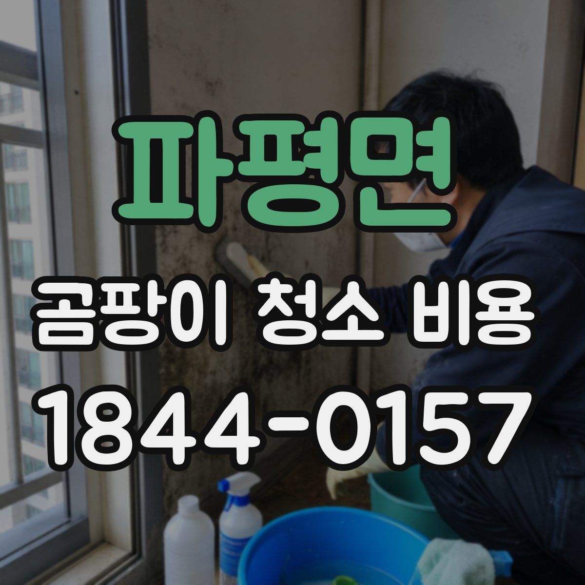 파평면 곰팡이 청소 비용