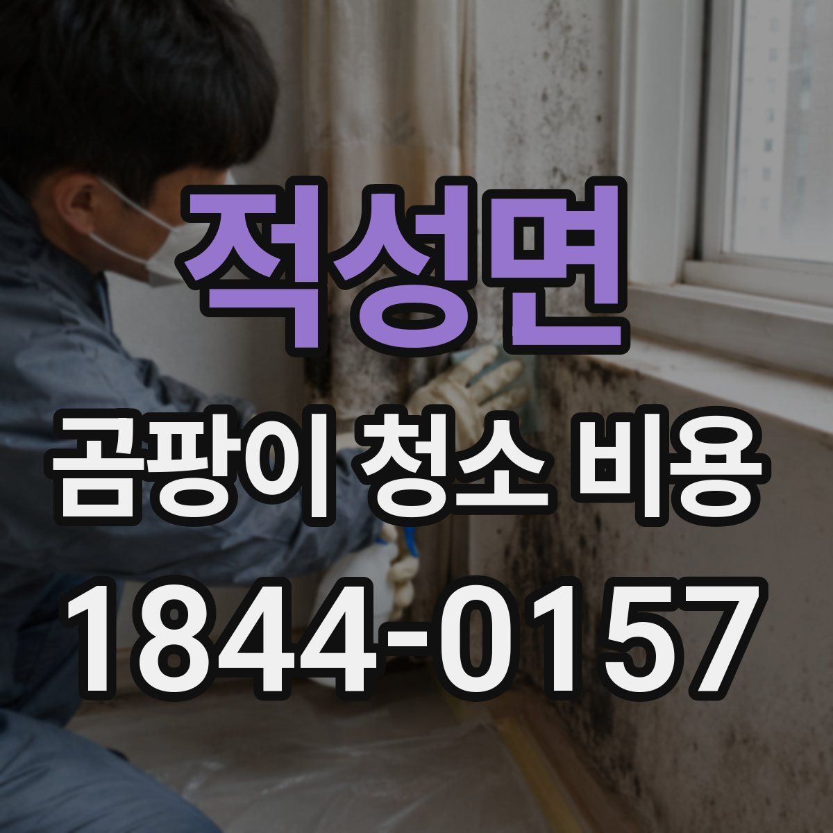적성면 곰팡이 청소 비용