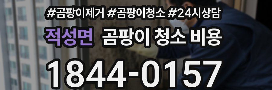 적성면 곰팡이 청소 비용