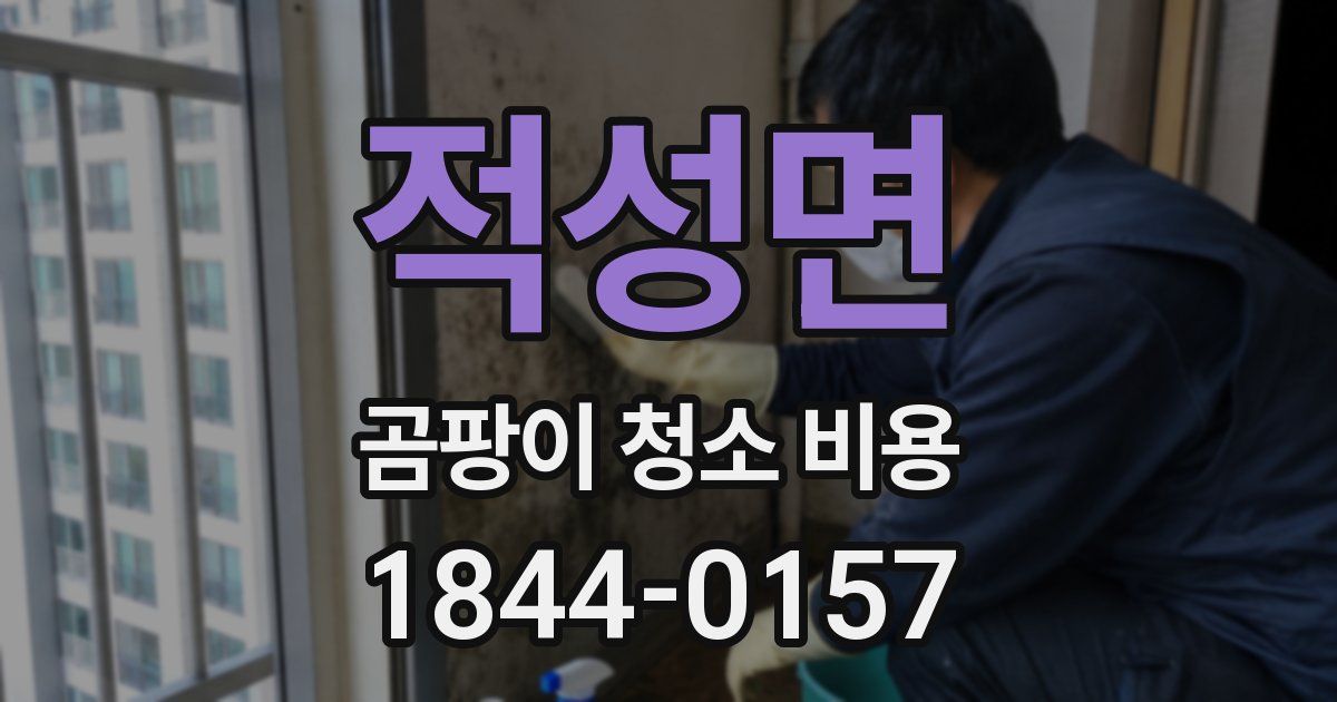 적성면 곰팡이 청소 비용